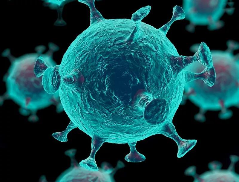 流行性出血热(hemorrhagic fever)又称肾综合征出血热,是由 汉坦病毒